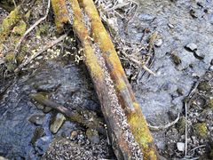 -叠溪松坪沟景区