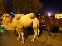 -艾提尕尔清真寺