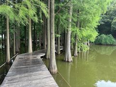 -采石矶景区