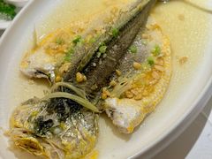 姜丝豆酱蒸大黄鱼-万龙洲海鲜·粤菜(亚运村店)