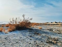 -托素湖高原生态旅游景区(柯鲁诺尔村店)