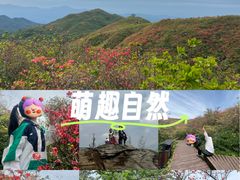 -大围山国家森林公园