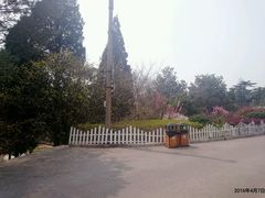 -青岛德国总督楼旧址博物馆