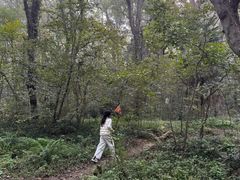 -紫金山山顶公园