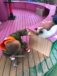 -萌宠亲子动物乐园(槐房万达店)