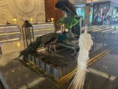 -西双版纳融创皇冠假日度假酒店