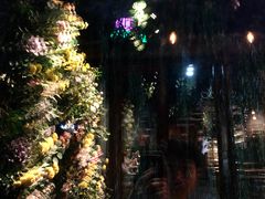 -IFIF 如果花園(宽厚里店)