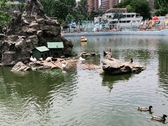 -团结湖公园