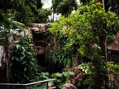 -北京植物园-展览温室