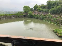-许家山