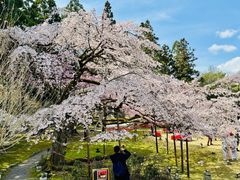 -醍醐寺