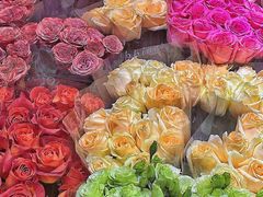 -双季花艺园艺市场(浦东店)