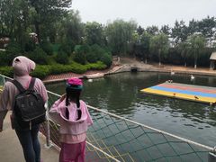 -西霞口神雕山野生动物世界