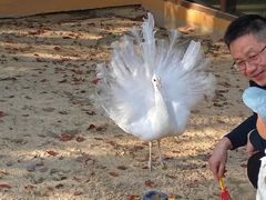 -宁波九龙湖开元度假村