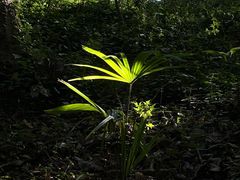-赭山公园