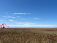 -青海湖仙女湾景区