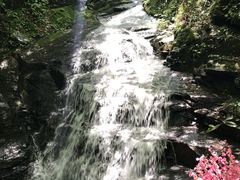 -藏龙百瀑风景区