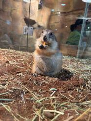 -Zoolung Zoolung动物主题公园(海信广场店)