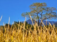 -塔川景区