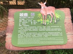 -海南热带野生动植物园