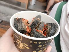 -武爹臭豆腐(坡子街店)