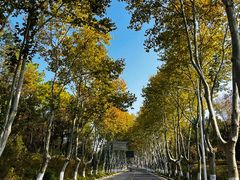 -钟山体育运动公园