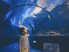 -梦幻海洋王国(吾悦广场张家港店)