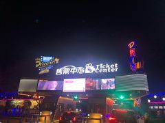 -枫花园汽车电影院(朝阳公园店)