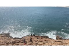 -广东惠东海龟国家级自然保护区