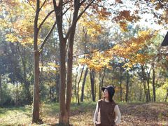 -南京市无想山景区