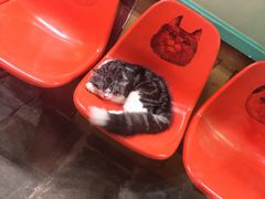 -猫街麻糍哥(思明南路店)