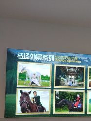 -哈贝儿童摄影(增城大润发店)