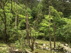 -燕子沟风景区
