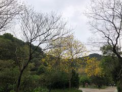 -云溪植物园