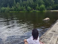 -五营红松林海景区