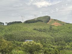 -满記土窑烧鷄波浪山莊