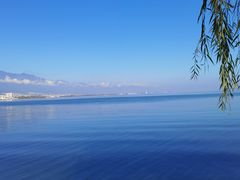 -洱海月湿地公园