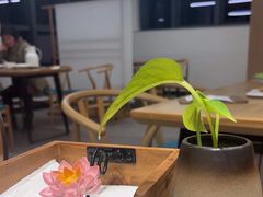 -枣子树·素食餐厅(朱家尖店)
