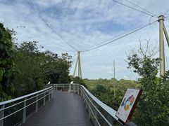 -新加坡飞禽公园