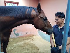 -月河湾马术俱乐部(朝阳店)