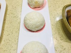 -正哥点心皇子(锦江国际广场店)