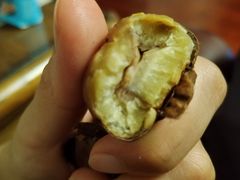 -二斗栗子(黄河道店)