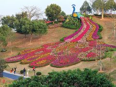 -东莞植物园