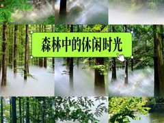 -国家植物园