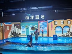 -重庆欢乐海底世界