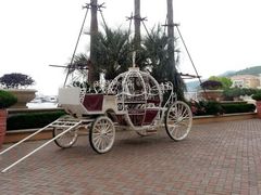 android_upload_pic-平湖九龙山庄园圣马可酒店