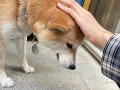 -三目仓咖啡(贤南路店)