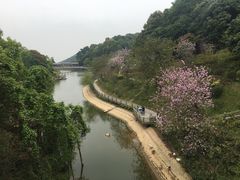 -广州市帽峰山景区