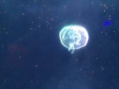 -杭州海底世界
