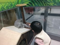 -未来动物城动物主题公园(大悦城店)